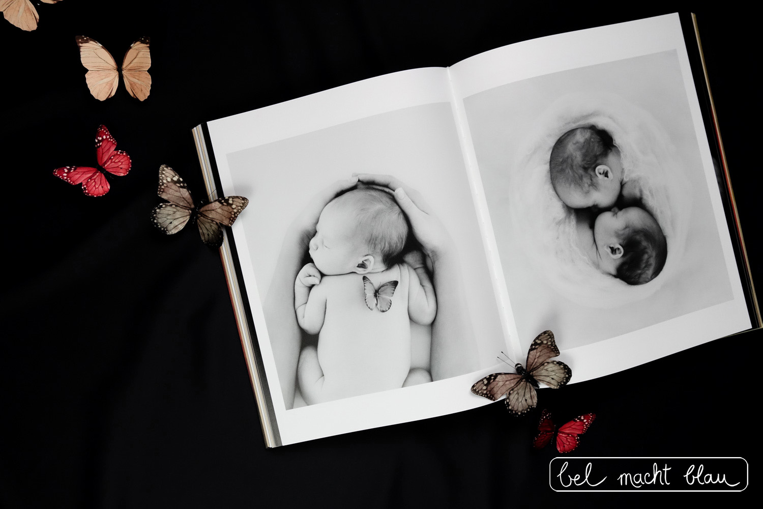Anne Geddes Small World // Buchtipp zum Muttertag // Babyfotografie // Schmetterlinge