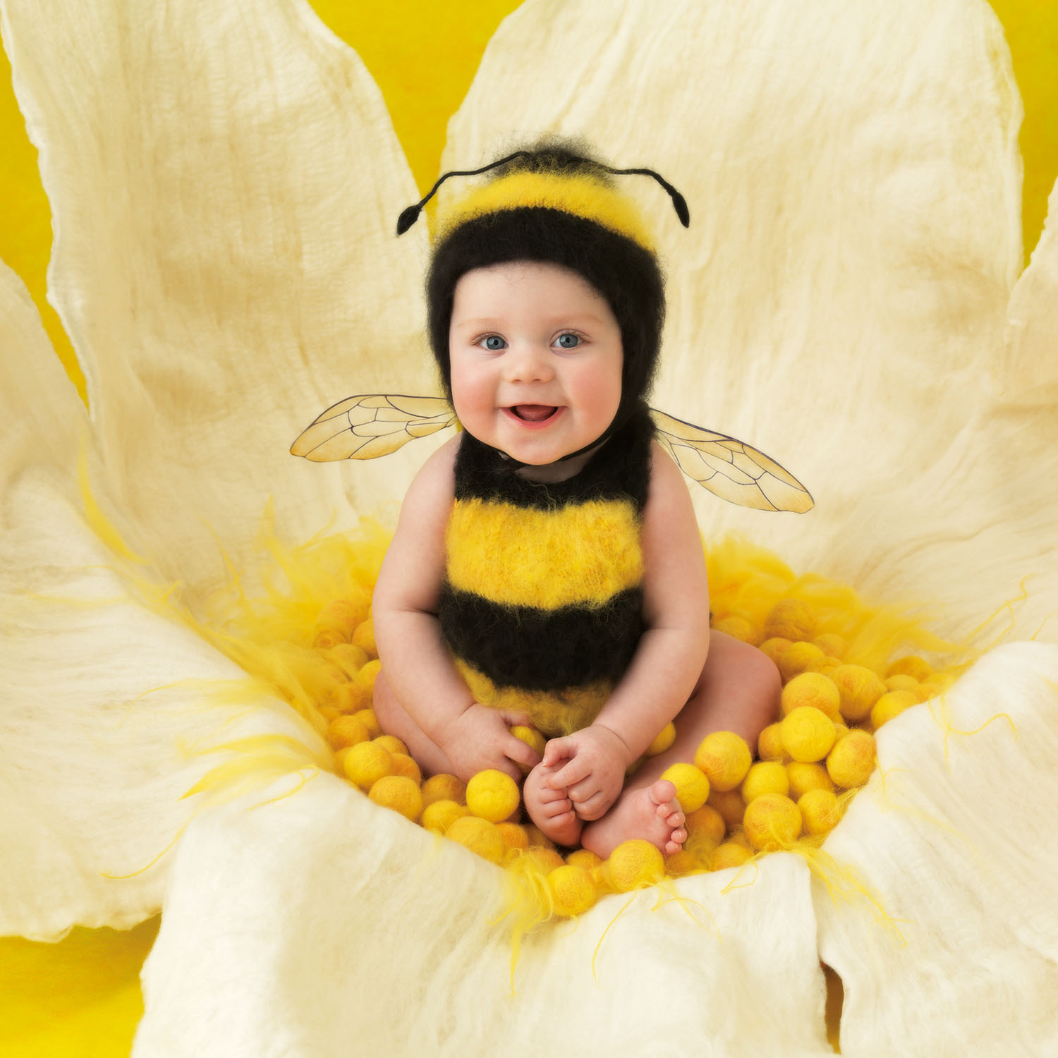 Anne Geddes Small World - Biene - Babyfotografie - Jai, 6 months, Sydney, 2012 (p.5)