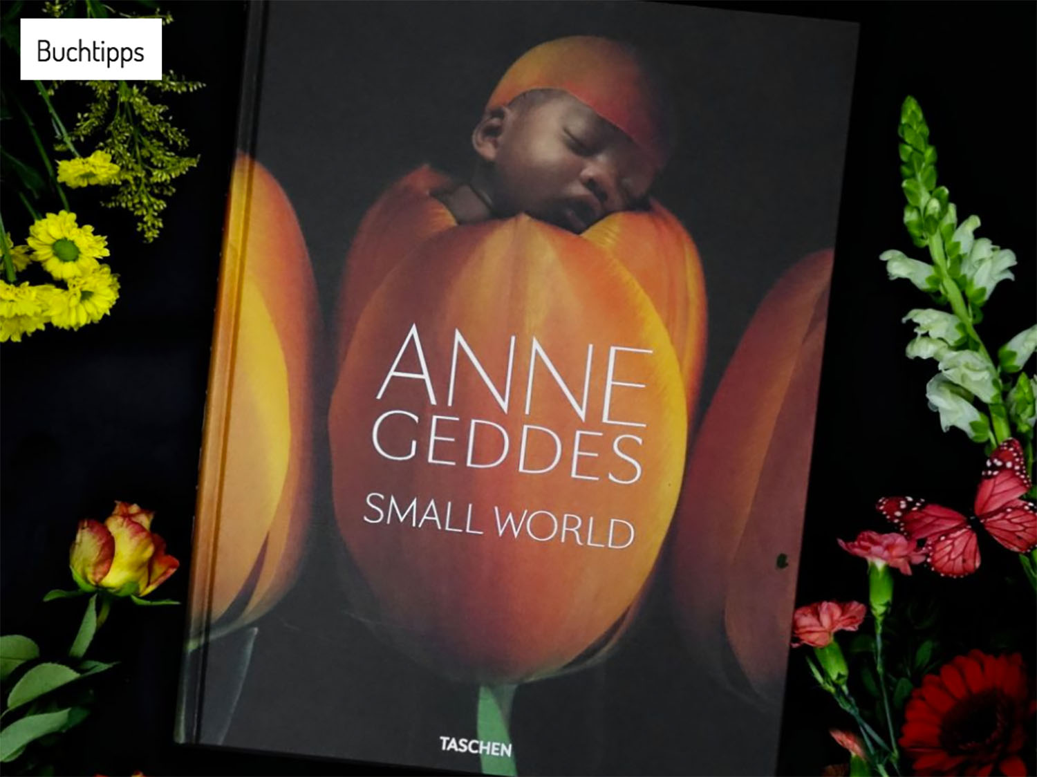 Annes Geddes "Small World" - ein Buchtipp zum Muttertag (Kooperation mit Taschen)