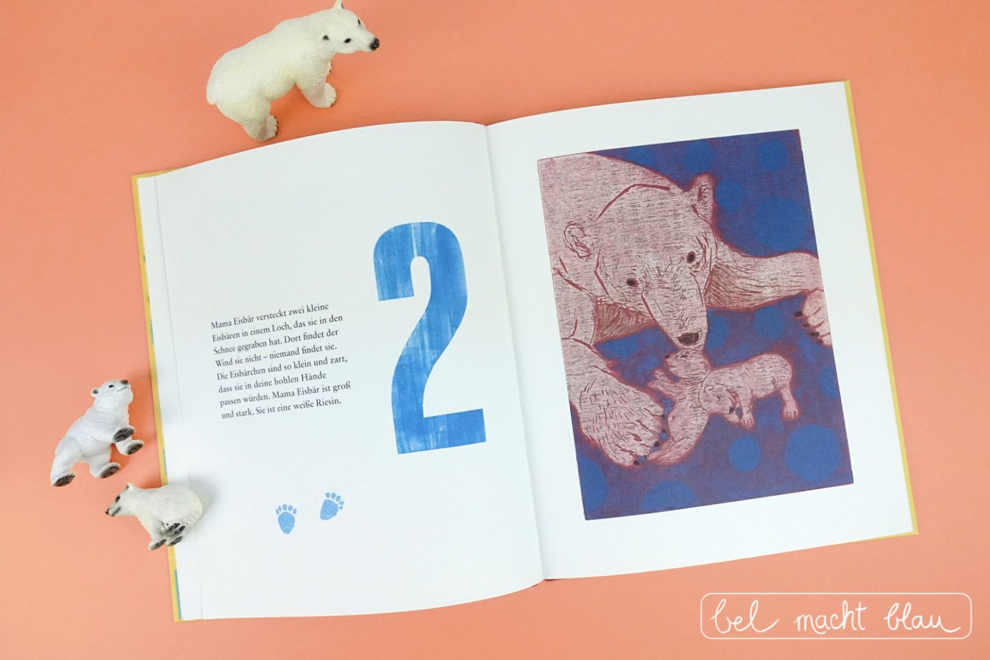Bilderbuchtipp: Die Null ist eine seltsame Zahl von Henriette Boerendans (aracari Verlag) - Mathe für Mamas - Zählen lernen