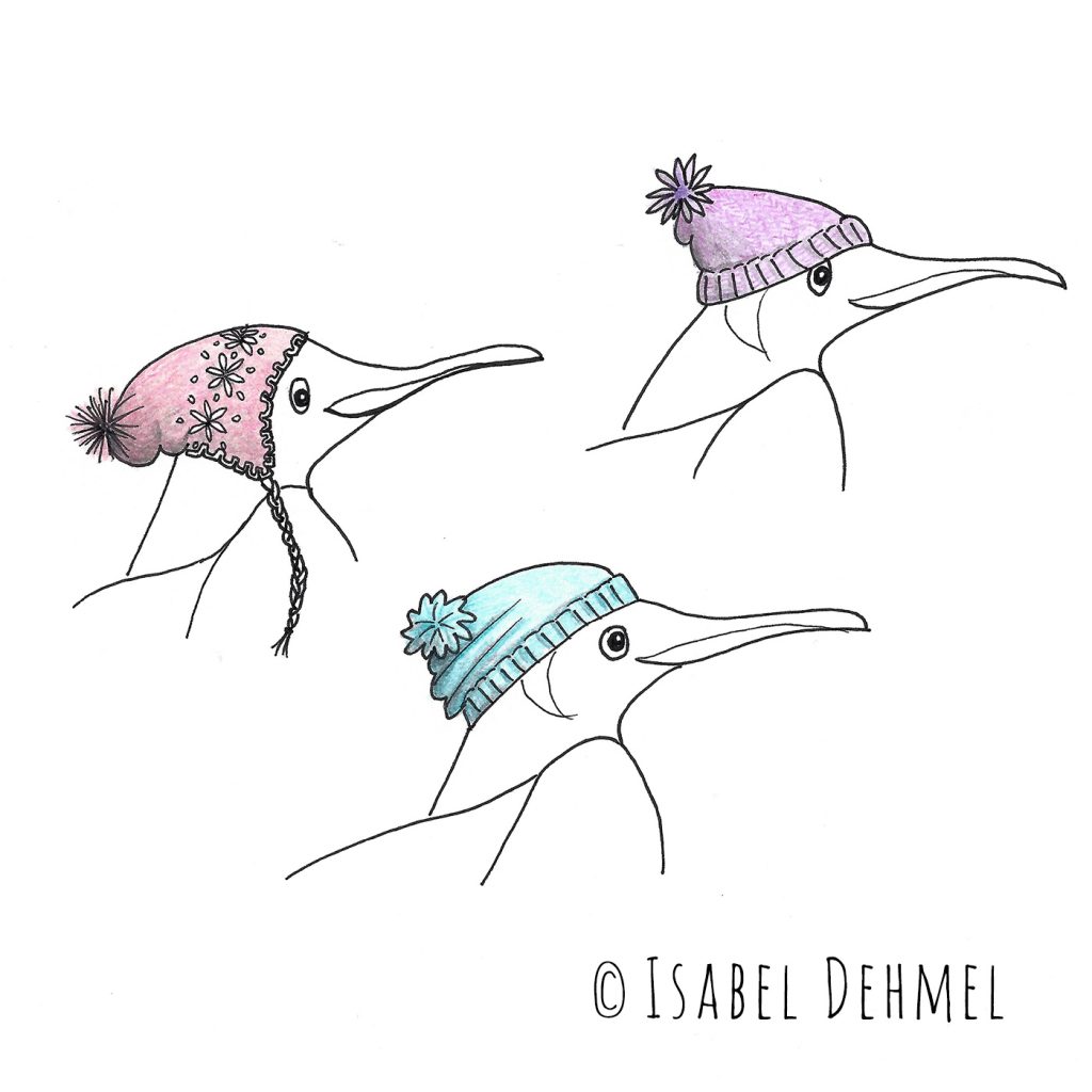 Der Schlittschuh fahrende Pinguin (Mützenstudie) - Illustration von Isabel Dehmel