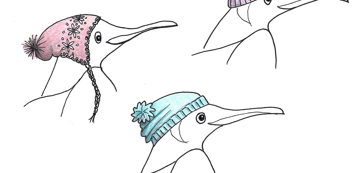 Der Schlittschuh fahrende Pinguin (Mützenstudie) - Illustration von Isabel Dehmel
