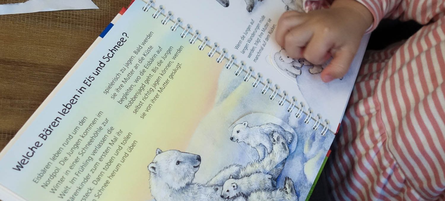 Eisbären-Geburtstag: Geschenkideen zum 2. Geburtstag